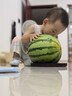 乐乐趣儿童绘本0-3岁宝宝创意触感玩具书3册 蒙氏早教玩具触摸书 幼儿触感训练启蒙早教书 儿童益智玩具绘本 实拍图