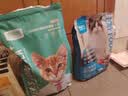 凯锐思猫粮鲜肉幼猫猫粮1-12月奶糕助力免疫鲜肉冻干双拼幼猫粮 【助力成长】4-12月鲜肉冻干双拼12斤 实拍图