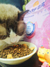 麦富迪猫粮 超肉粒冻干双拼成猫粮美毛护肠三文鱼10kg/20斤【宠物金选】 实拍图