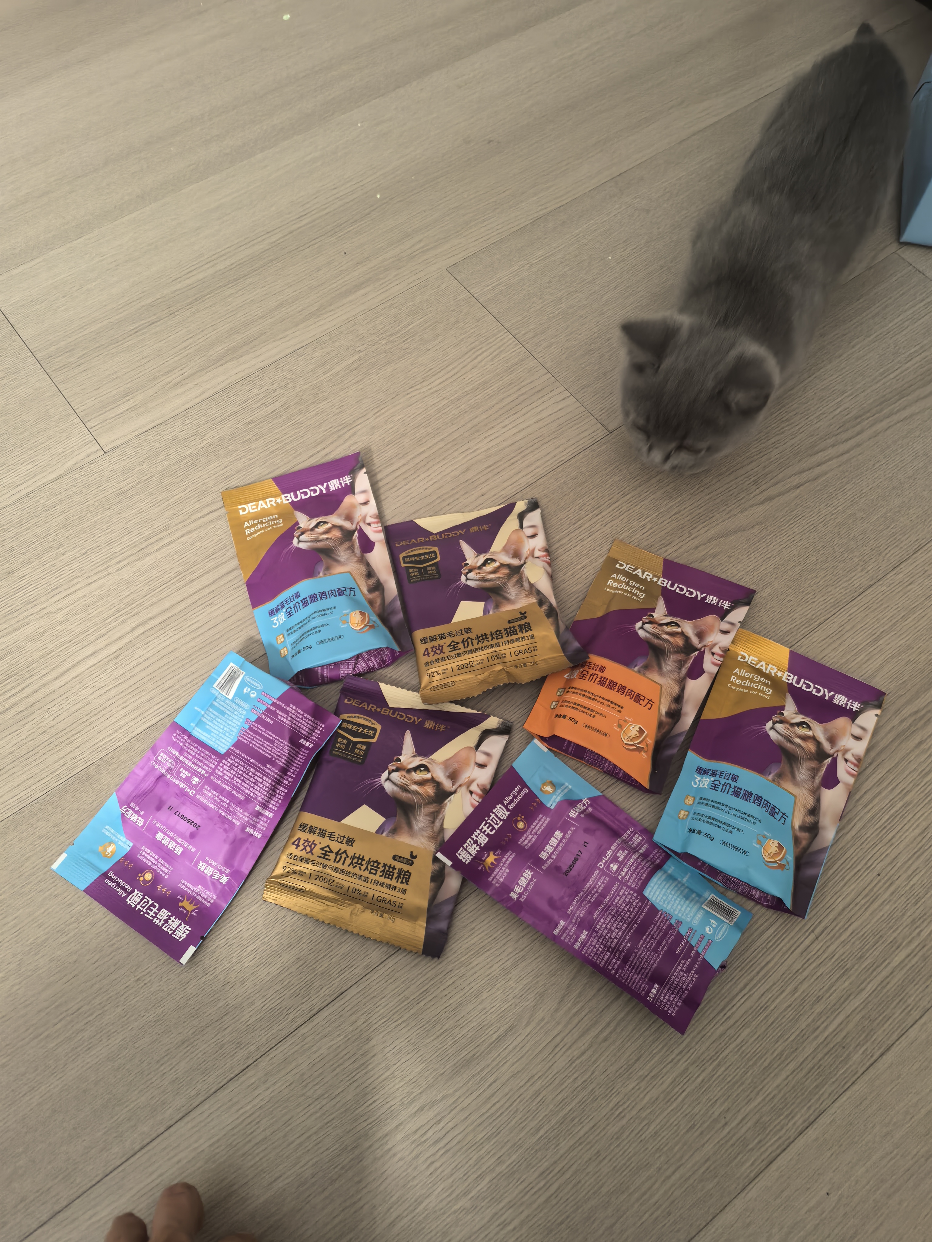 鼎伴3效抗过敏猫粮减少过敏原低敏脱敏全价鼎半成幼猫粮清敏主粮1.5kg 实拍图