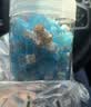 Kailhkailh按键开关机械键盘轴体段落有声BOX极地狐轴凯华 BOX极地狐轴*30颗（满30颗送2颗备用轴） 实拍图