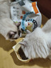 比瑞吉猫粮全价全阶段鸭肉瓜6幼成年期美毛宠物添加鱼油三文鱼猫咪粮2kg 实拍图
