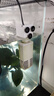 亚峰（yafeng）鱼缸过滤器三合一净水循环泵鱼缸内置过滤器过滤水泵小型增氧设备 15W 五合一 （30-40CM缸用） 实拍图