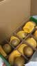 佳沛（zespri）新西兰阳光金果10个装单果重约103-114g 水果礼盒 猕猴桃 实拍图