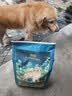 雷米高（RAMICAL）狗粮成犬通用泰迪金毛拉布拉多澳宝犬粮5kg 实拍图