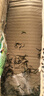 花翁重瓣太阳花苗宿根多年生枝条混色植物盆栽绿植花卉耐晒源头直发 实拍图