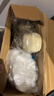京冇灌香肠机器家用灌肠机手摇灌肠器灌香肠的工具装腊肠罐肉肠神器 实拍图