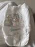 帮宝适（Pampers）清新帮拉拉裤 L大码42片超薄干爽男女宝宝通用9-11KG建议咨询客服 实拍图