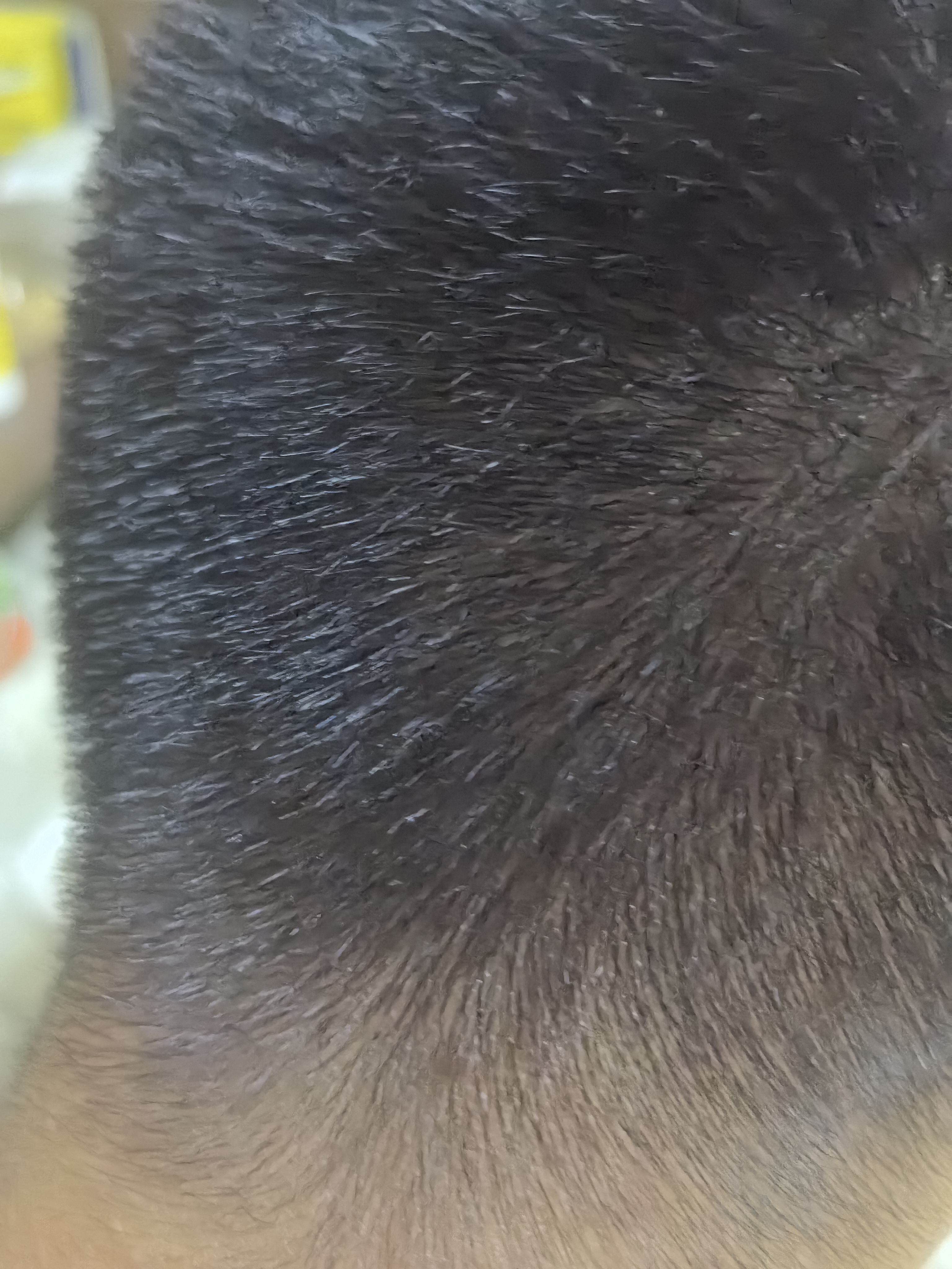 欧莱雅臻萃精油染染发剂 男女盖白发染发膏 3.0青木黑褐【热卖】 实拍图