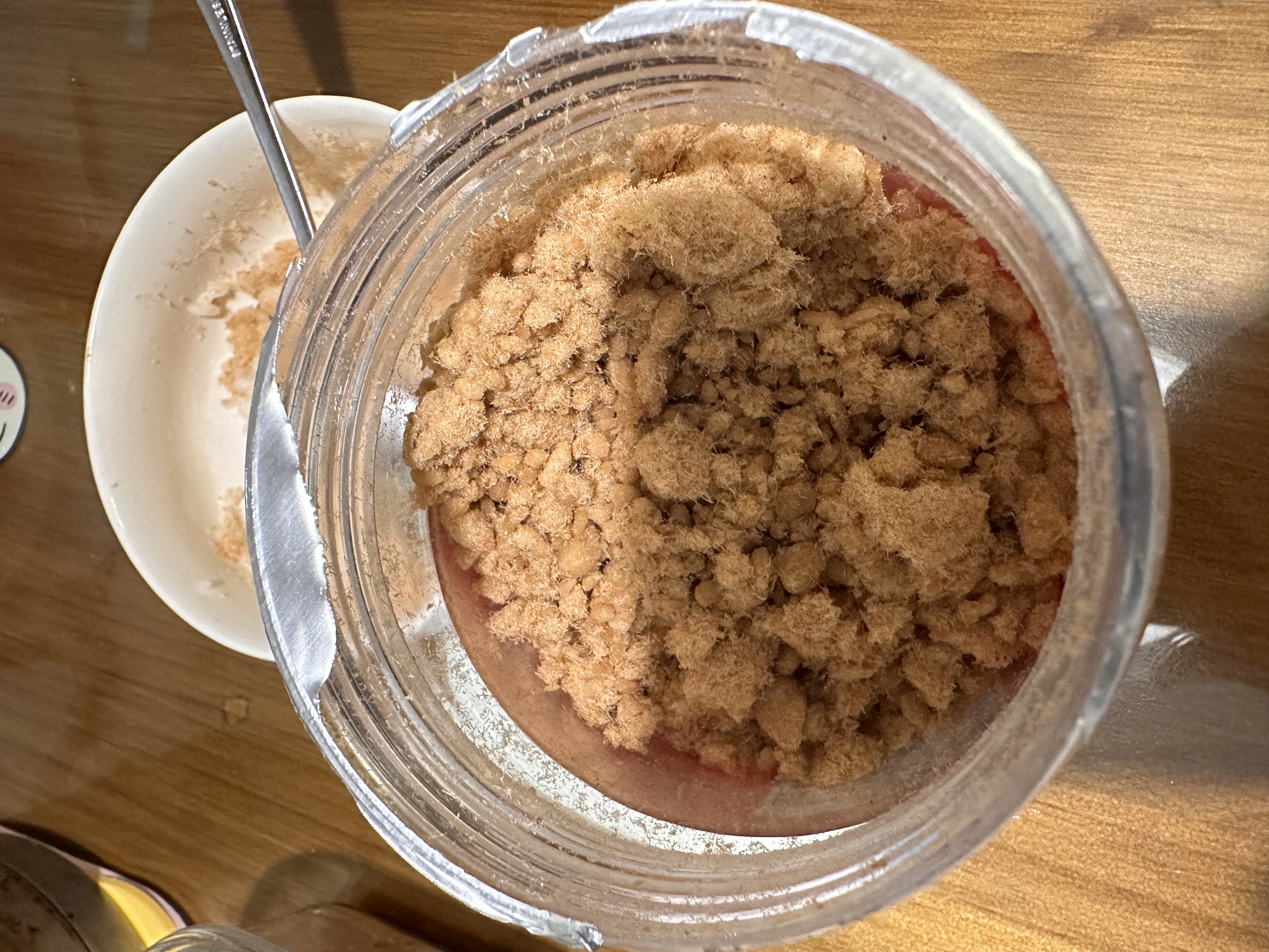 厨師 儿童营养肉酥250g 高蛋白猪肉松宝宝拌饭解馋零食小吃烘焙食材 实拍图