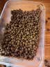 麦富迪狗粮 藻趣儿狗粮成犬粮牛肉螺旋藻 均衡营养15kg/30斤 实拍图