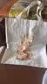 别颖帆布包帆布袋定做培训班手提学生单肩布包环保购物袋定制印制logo 开心小狗款[34*高38]10安涤棉 实拍图