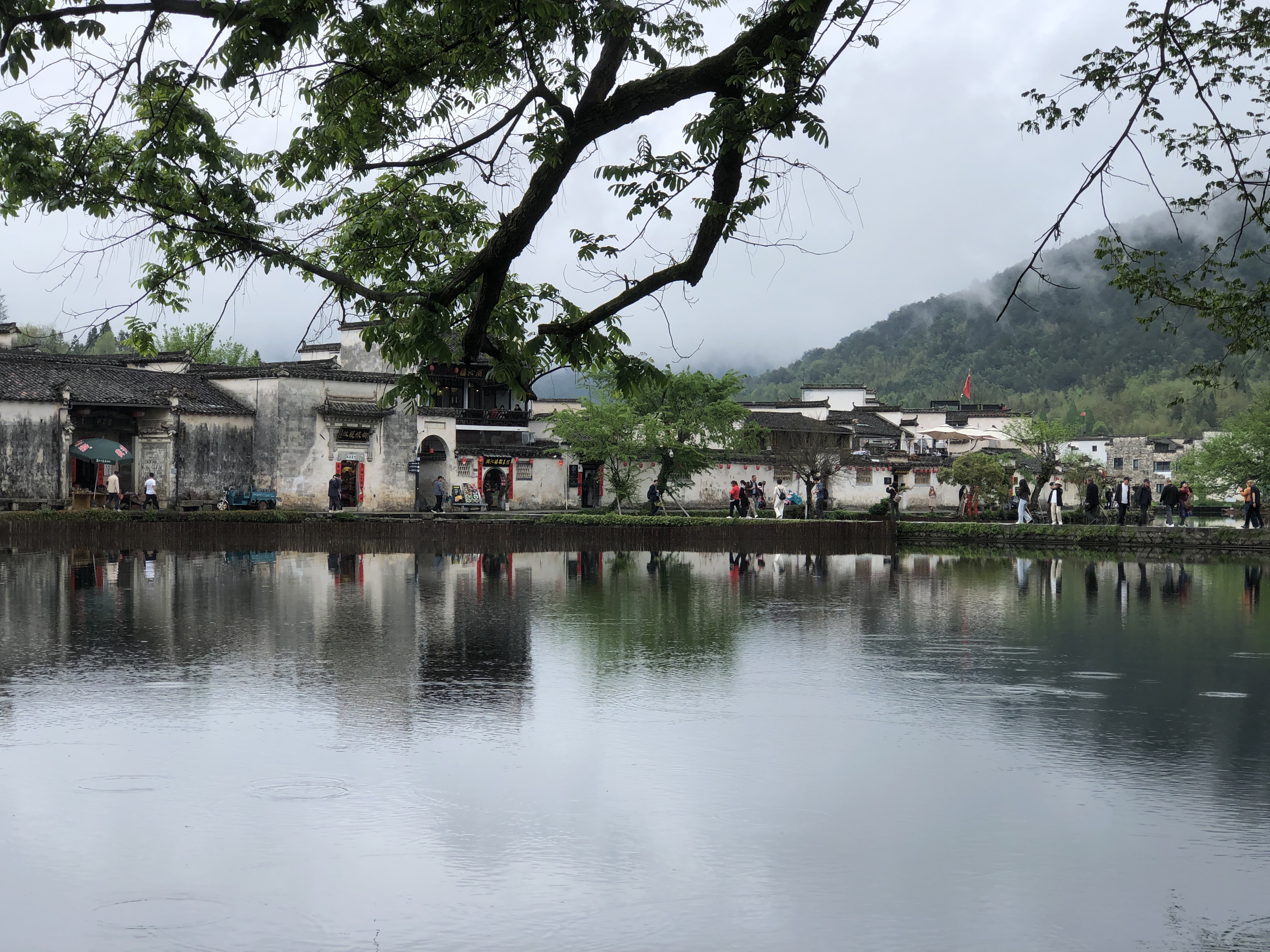 百威【梅西同款】经典红罐啤酒450mL 18罐整箱装喜宴 实拍图