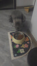 疯狂小狗 小型犬狗粮幼犬成犬宠物泰迪贵宾博美比熊小型犬通用粮 1.5kg3斤 实拍图