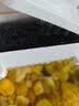 茨格曼鱼缸过滤棉专用过滤器白棉高密度加厚净化海绵水族箱生化过滤材料 实拍图