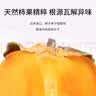 AMO PETRIC阿默猫猫砂除臭剂狗宠物青柿环境除臭喷雾猫尿除味分解杀菌350ml 实拍图