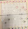 得力（deli）象棋便携折叠棋盘儿童学生成人初学者磁石露营益智桌游开学礼物 实拍图