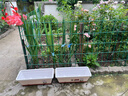 花沃里长方形花盆带托盘2个 阳台种菜盆种菜箱种子育苗盘种植箱米白大号 实拍图