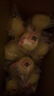 港荣蒸蛋糕奶香900g面包零食饼干西式糕点甜品零食下午茶独立小包装 实拍图