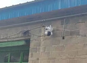 霸天安4g太阳能户外监控终身免流量AI摄像头室外免插电无需连wifi监控器360度无死角带夜视全景手机远程 实拍图