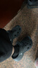 卡骆驰（CROCS）白鹿同款经典云朵洞洞鞋时尚百搭女鞋花园鞋|206750 骨白色-2Y2(含智必星) 35 (220mm) 实拍图