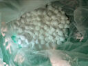ECOSALT软水盐软水机专用盐3m史密斯美的通用软化盐家用专用盐20kg过滤盐 20kg【实惠推荐】 实拍图