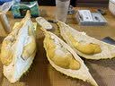 京东京造环球甄选锁鲜装750g每日坚果桶9种混合坚果果干开心果腰果孕妇 实拍图