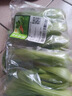 【24小时鲜】油菜苗250g(长度≤17cm) 实拍图
