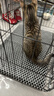 憨憨宠猫笼折叠猫笼子大号猫别墅加粗加密双层猫舍猫窝宠物猫咪用品家用 黑色 600双层 实拍图