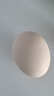京鲜生 无抗保洁鲜鸡蛋30枚/盒 健康轻食 礼盒送礼 1.5kg/盒 源头直发 实拍图