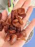 麦兮牧牧红香妃红葡萄干新疆吐鲁番新货特产大颗0添加即食免洗无核即食1斤 实拍图