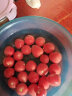 京地达栗贝诺圣女果小黄瓜组合4.5斤 小番茄小青瓜健康轻食 源头直发 实拍图
