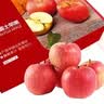 京鲜生山东栖霞红富士苹果 12粒 净重5斤 单果190g-240g 生鲜礼盒 实拍图
