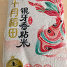 十月稻田 油粘米 银牙香粘米 10斤（南方大米 籼米 5kg/公斤） 实拍图