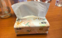 洁柔抽纸 繁花系列3层100抽*20包 可湿水面巾纸 柔韧卫生纸 整箱纸巾 实拍图