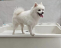 麦富迪狗粮 藻趣儿狗粮成犬粮牛肉螺旋藻 均衡营养2.5kg 实拍图