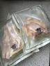 澳纽宝 新西兰草饲原切牛蹄筋/肉筋1斤 炖煮食材 生鲜牛肉 实拍图