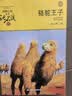 动物小说大王沈石溪品藏书系新版（黄绿特辑套装共12册）小学生课外书 暑期阅读 课外推荐 实拍图