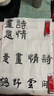 墨汁墨水书法专用毛笔字初学者速干墨水楷书画墨液学生书法专用墨汁 【直播专享】练习墨汁100g 实拍图