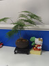 布鲁可积木人 大颗粒拼装积木玩具交通工具-鲁鲁遥控导弹车儿童玩具礼物 实拍图