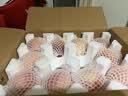 京鲜生国产水蜜桃 净重4.5斤 单果140g+ 应季桃子包园不分级 真源头直发 实拍图