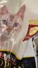 冠能猫粮 成猫猫粮鸡肉味10kg 全价猫粮 稳固免疫【宠物金选】 实拍图