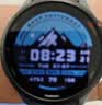 佳明（GARMIN）FR255跑步运动心率智能手表户外多频多星定位马拉松铁三毕业礼物 Forerunner255神秘灰 实拍图