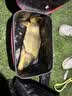达亿瓦（DAIWA）一击 轻量鲤鱼鲫鱼草鱼罗非 进口鱼竿手杆 轻硬挺 休闲台钓 7.2m 一击F 72.K（综合） 不支持使用/试用后退换货 实拍图