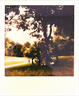 宝丽来（Polaroid）i-Type型拍立得相机相纸 复古胶片【限I-2&Flip&Now&Now+&Lab可用】 25年12-26年2月i-Type白框相纸 (8张) 实拍图