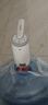 志高（CHIGO）抽水器桶装水 电动抽水泵饮水机纯净水取水器自动上水器MX-H17 实拍图