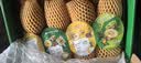 佳沛（zespri）新西兰阳光金奇异果 8个装 特大果单果重约124-146g 水果猕猴桃 实拍图