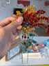 威尔基结婚胸花新郎新娘胸花婚礼迎宾龙凤胸花新人红色高档胸针全套饰品 龙章凤彩【新郎+新娘】 酒红色飘带 实拍图