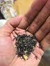 乐品乐茶茉莉飘雪浓香茉莉花茶横县特级碧螺春茶新茶250g金罐伴手礼自己喝 实拍图