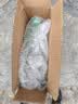 蜂花洗发水控油芦荟精华去油男女士蓬松清爽洗发露膏750ml 实拍图